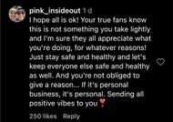 Fans' comments on the singer's Instagram post (Image via Instagram/@pink)